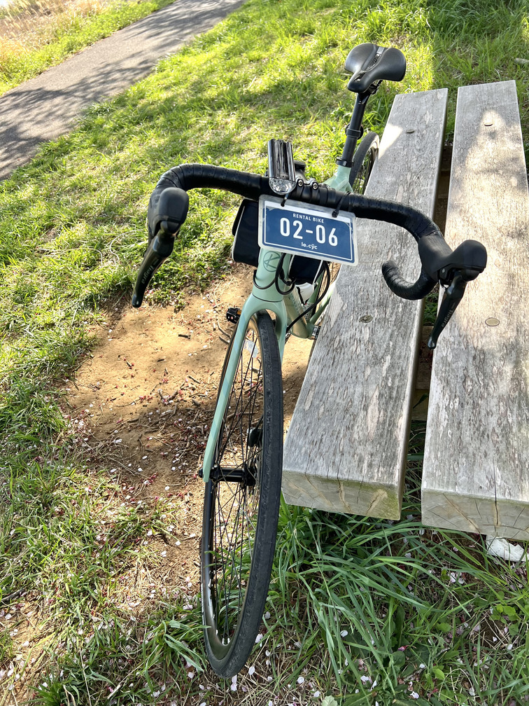 大きな番号プレート付きのレンタル自転車