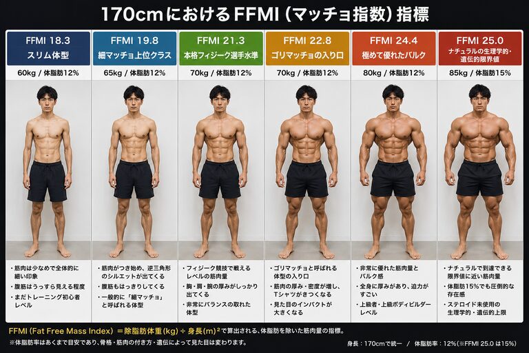 170cm男性におけるFFMI別の体型と筋肉量の比較